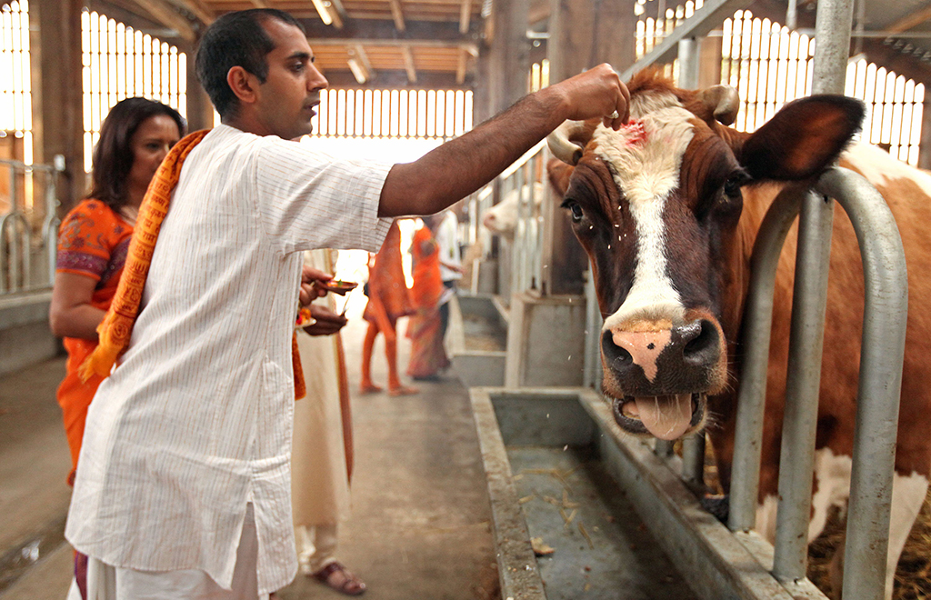 गौ दान