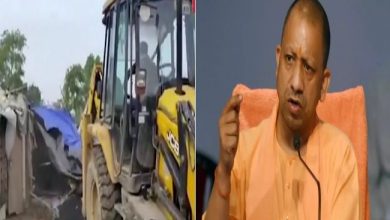 CM-Yogi-Bulldozer