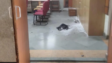 Blast in Patna Civil Court