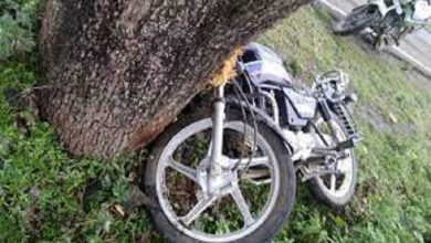 Photo of पेड़ से टकराई बाइक, युवक की मौत