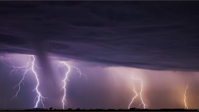 dozen laborers hit by lightning