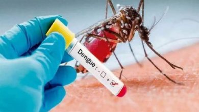 Photo of देश में  डेंगू का प्रकोप जारी: सिर्फ कानपुर में 24 घंटे में मिले 51 नए मरीज।