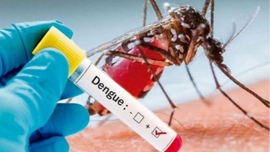 Photo of हर बुखार को डेंगू ना समझें, जानिए कहीं कोई नई बीमारी तो नहीं।