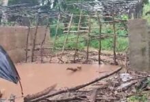 collapse of under-construction culvert in Odisha