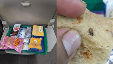 वंदे भारत एक्सप्रेस में एक यात्री ने खाने में कॉकरोच