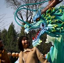 China dragon