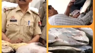 up-news-rare-species-tortoise-smuggling-caught-varanasi-railway-station