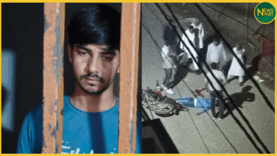 ghaziabad-police-raid-kadir-gangster-encounter-saurabh-death