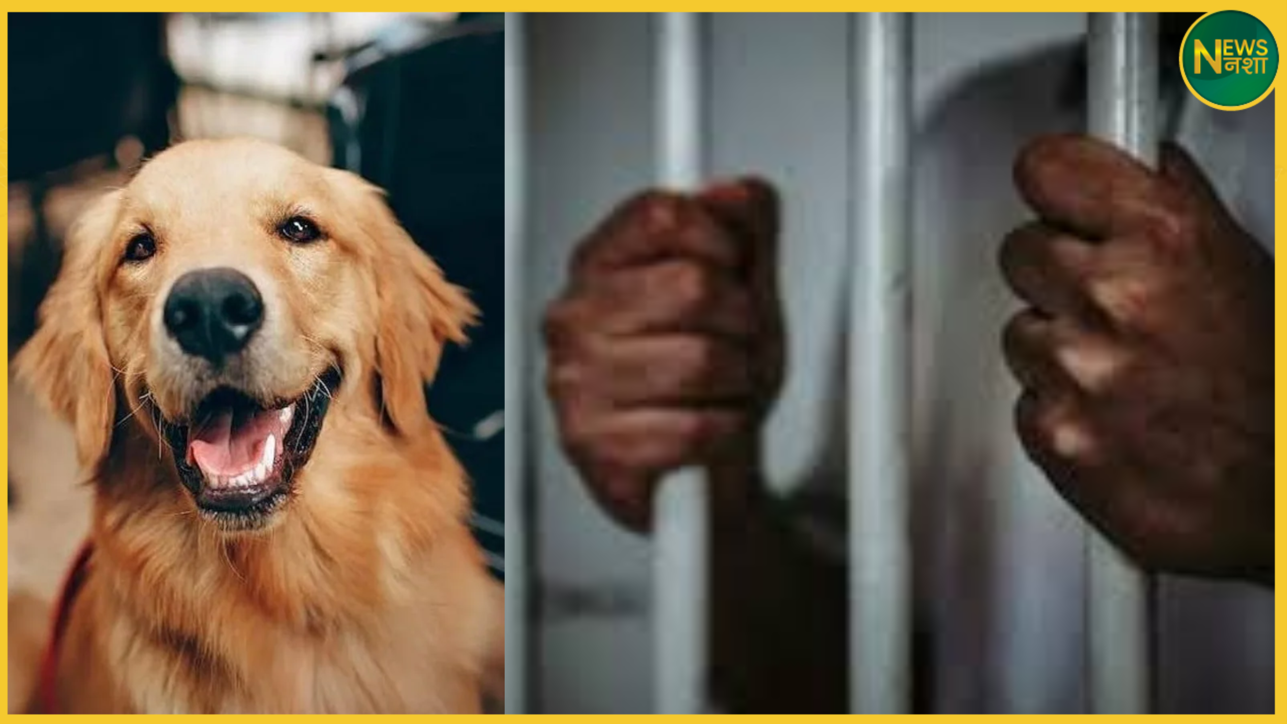 mumbai-dog-bite-owner-sentenced-2025