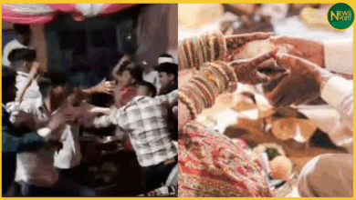 jhansi-wedding-cooler-dispute-leads-to-chaos-2025