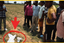 alien-device-in-field-suspected-electronic-device-maharajganj-news