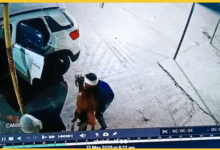 baghpat-thieves-steal-goats-in-brezza-car-caught-on-cctv