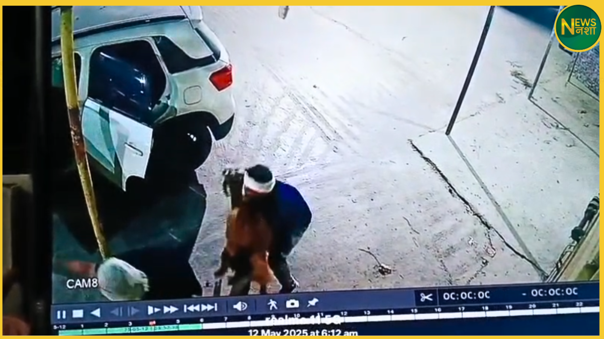 baghpat-thieves-steal-goats-in-brezza-car-caught-on-cctv