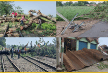 lakhimpur-kheri-andhi-toofan-tin-ki-maut-bijli-vyavastha-charamrai-news