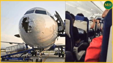 indigo-flight-6e2142-storm-emergency-landing-survivor-experience