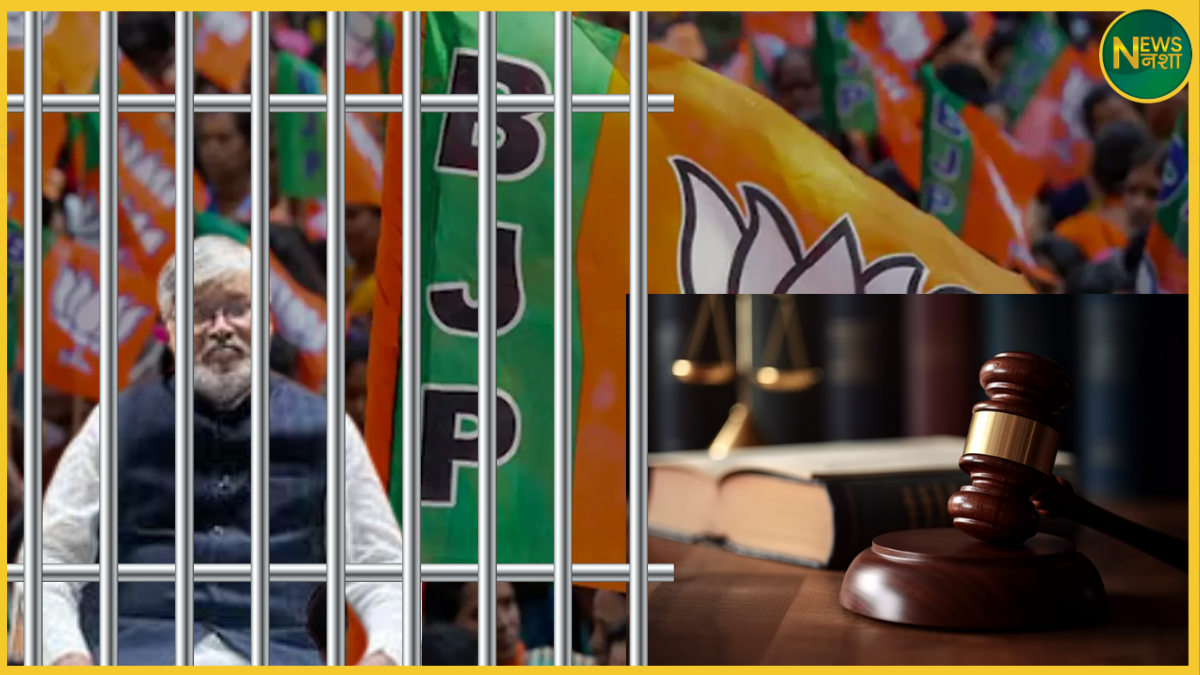bjp-mla-mishrilal-yadav-sentenced-to-3-months-in-jail-assault-case