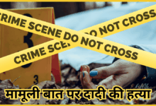 lucknow-teen-kills-grandmother-over-school-fees