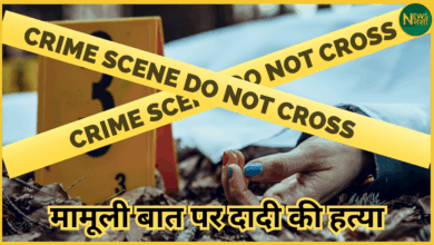 lucknow-teen-kills-grandmother-over-school-fees