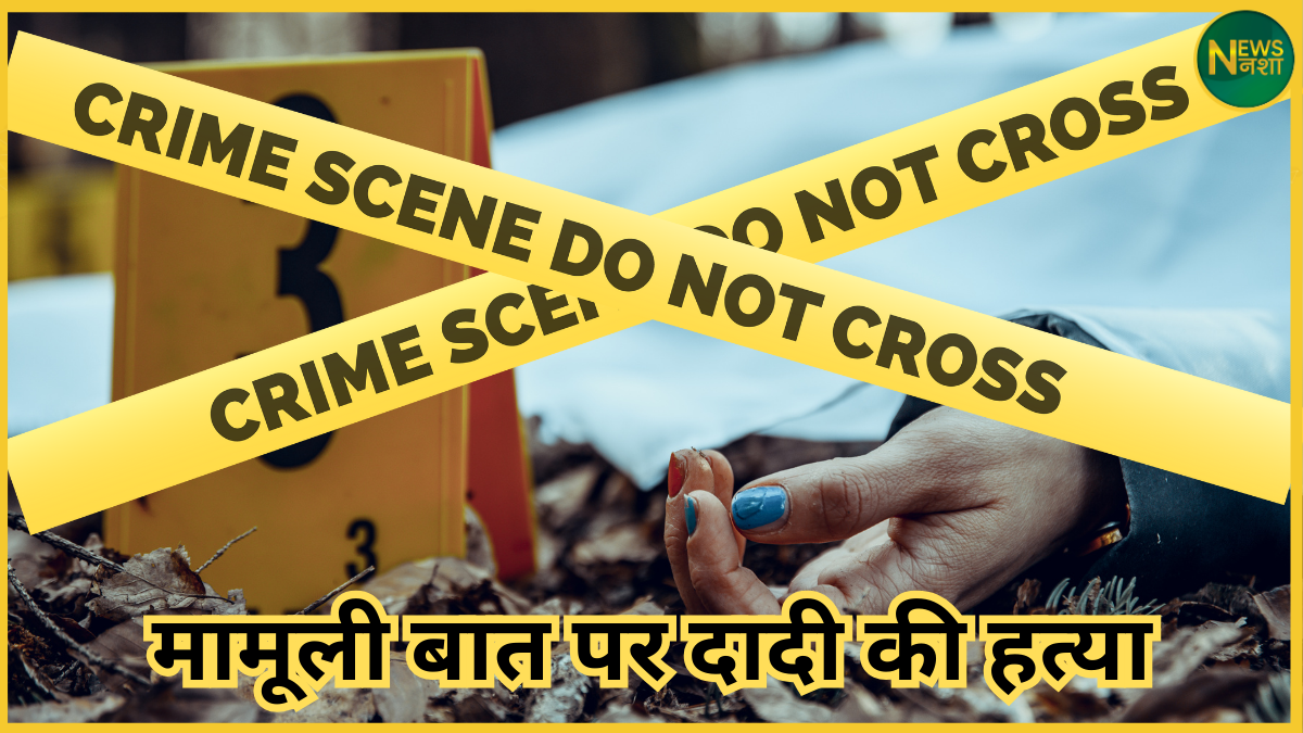lucknow-teen-kills-grandmother-over-school-fees