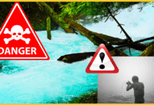 uttarakhand-ganga-jalstar-flood-alert-heavy-rain
