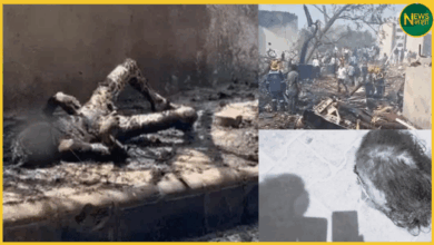 ahmedabad-plane-crash-horrific-images-body-parts-on-road