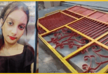 allahabad-amanaya-death-park-gate-accident-nagar-nigam-negligence