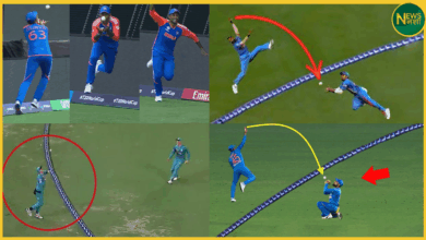 mcc-icc-ban-bunny-hop-boundary-catch-hindi-news