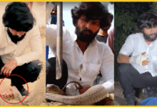 jaunpur-snake-rescuer-murli-waale-hausla-saves-cobra-that-bit-him