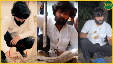 jaunpur-snake-rescuer-murli-waale-hausla-saves-cobra-that-bit-him