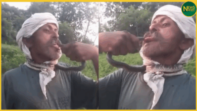 amroha-man-bitten-by-snake-on-tongue-after-wrapping-around-neck