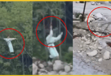 manali-zipline-hadsa-trisha-bijwe-nagpur-girl-viral-video