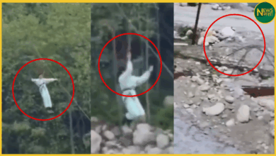 manali-zipline-hadsa-trisha-bijwe-nagpur-girl-viral-video