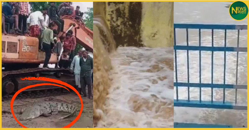 up-monsoon-2025-rainfall-alert-heavy-rain-crocodile-rescue-flood-deaths