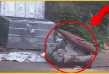 raipur-suitcase-body-case-cemented-dead-body-found-ddnagar-crime-scene