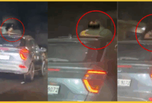 highway-viral-video-manali-chandigarh-dhankad-scandal