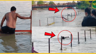 haridwar-ganga-mein-reel-banate-vakt-yuvak-ki-dubkar-maut-viral-video