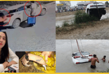haryanvi-model-simmi-chaudhary-murder-case-update-sunil-confessed-crime