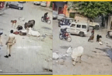 kanpur-police-helped-wanted-criminal-anup-shukla-cctv-video-viral