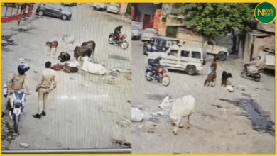 kanpur-police-helped-wanted-criminal-anup-shukla-cctv-video-viral