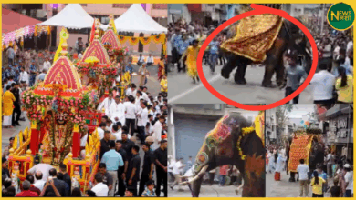 jagannath-rath-yatra-2024-ahmedabad-puri-deigha-hathi-bekabu-video