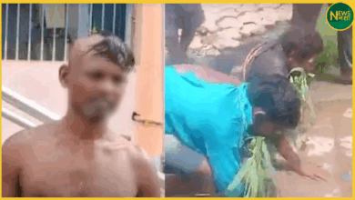 odisha-dalit-men-humiliated-over-cattle-transport-ganjam-case