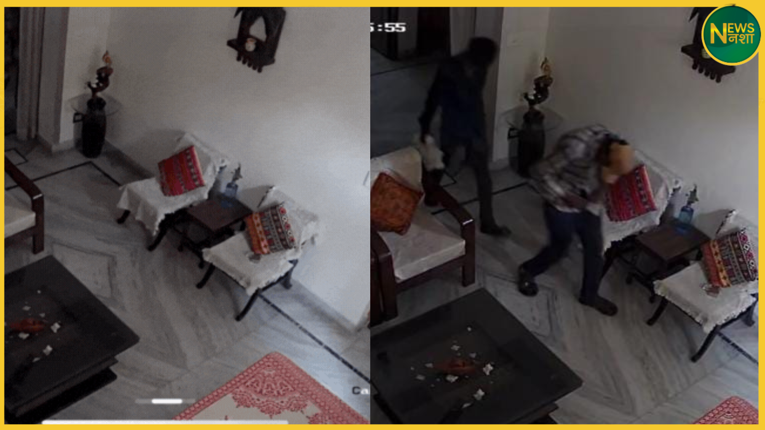 meerut-cctv-theft-germany-trip-retired-officer-house-robbed