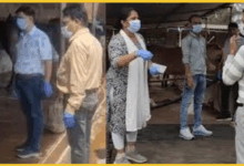 jabalpur-horse-death-glanders-test-negative-heatstroke-transport-violation