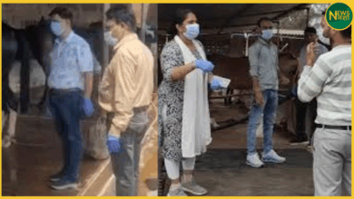 jabalpur-horse-death-glanders-test-negative-heatstroke-transport-violation
