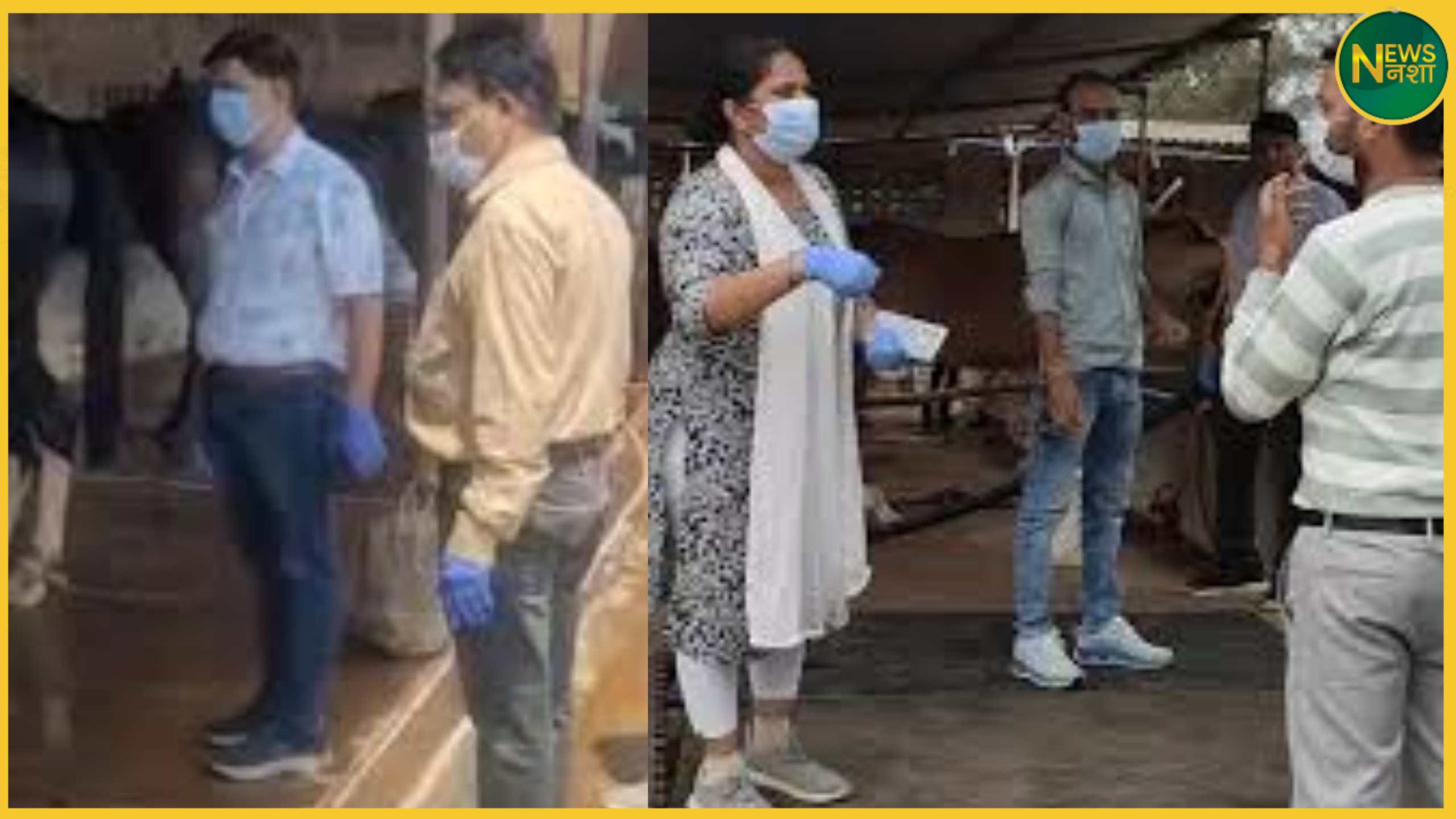 jabalpur-horse-death-glanders-test-negative-heatstroke-transport-violation