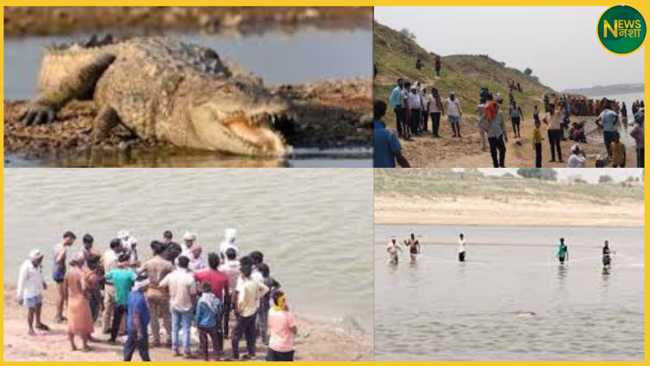 agra-woman-killed-by-crocodile-in-chambal-river-body-found-after-3-hours