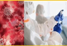 delhi-corona-virus-new-wave-deaths-cases-update