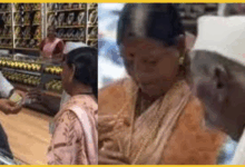 93-year-old-man-mangalsutra-story-gopika-jewellers-nilesh-khiwansara-viral