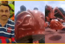 akluj-water-park-accident-tourist-death-ride-collapse