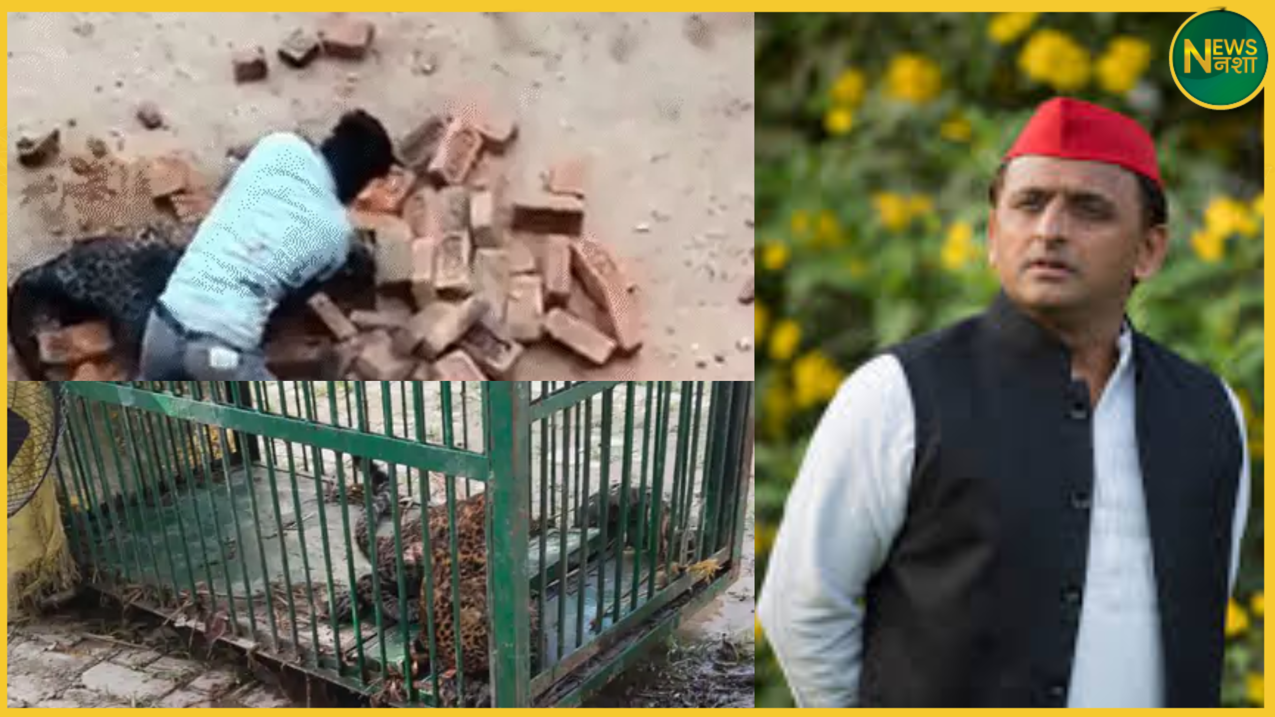 lakhimpur-man-fights-leopard-15-minutes-video-viral